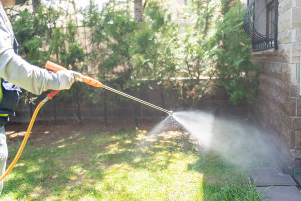 Best Bed Bug Extermination  in Rock Valley, IA