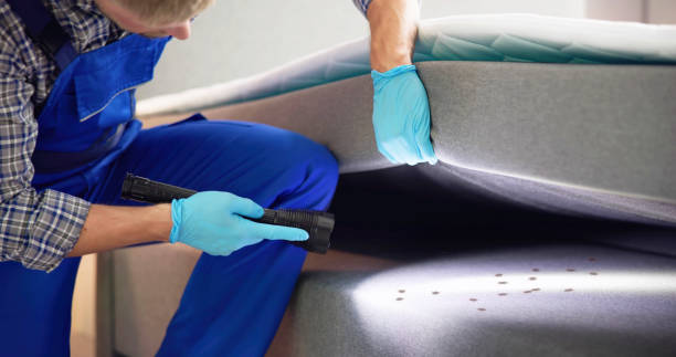 Trusted Rock Valley, IA Pest Control Experts